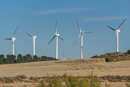 Wind Farm Layout Design